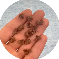 Slime Charms|Other Slime Supplies>Dope Slime Chocolate Mini Popcorns