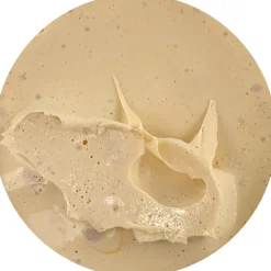 Butter Slime><noscript><img width=