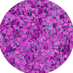Slime Fimo Slices>Dope Slime Grape Fimo Slices