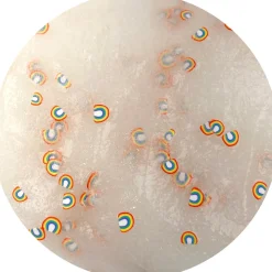 Jelly Slime>Dope Slime Rainbow Road Jelly