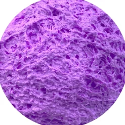 Snow Fizz Slime><noscript><img width=